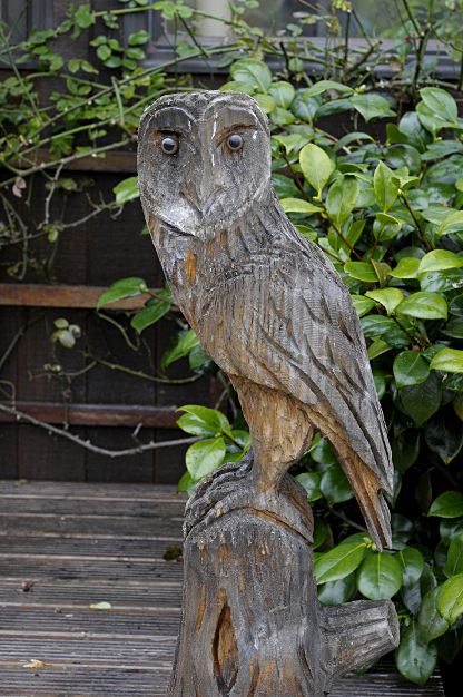 Owl carving