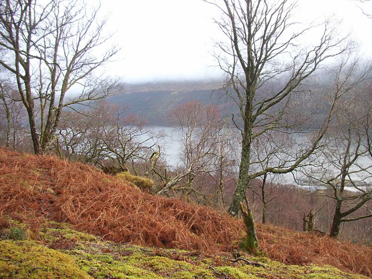 Loch Creran