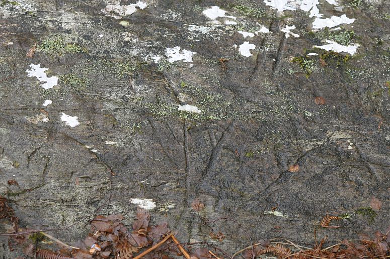 Possible rock carving, Glen Creran