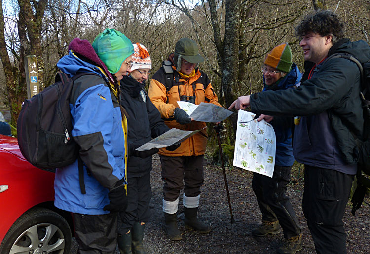 Studying the Plantlife Glen Nant walk leaflet