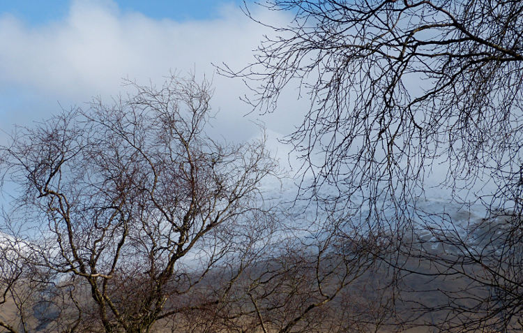 Ben Cruachan from Glen Nant